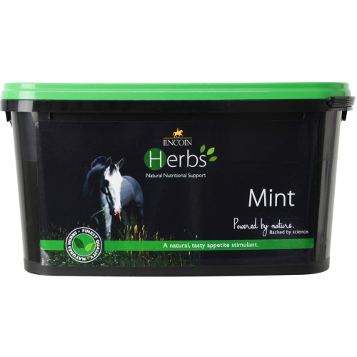 Lincoln Herbs Mint - 600g