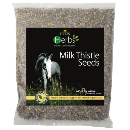 Lincoln Herbs Milk Thistle Seeds - 1kg - 50 days Supply