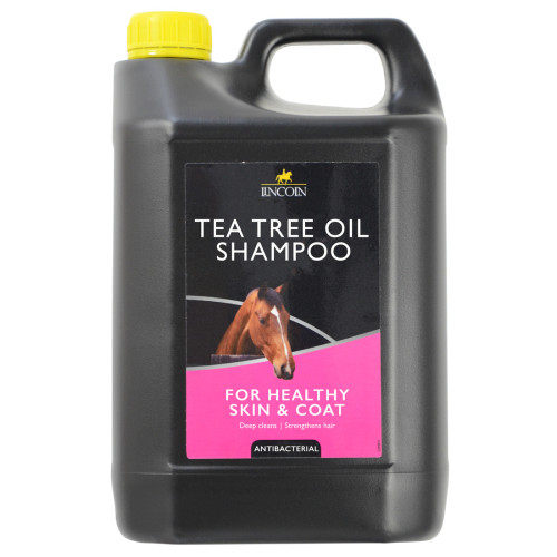 Lincoln Tea Tree Oil Shampoo - 4 litre