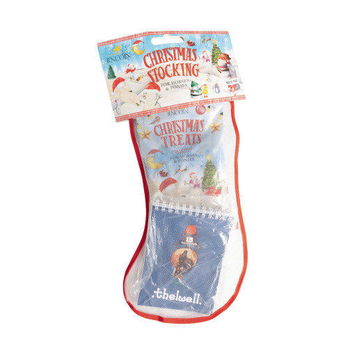 Lincoln Pony Mad Stocking