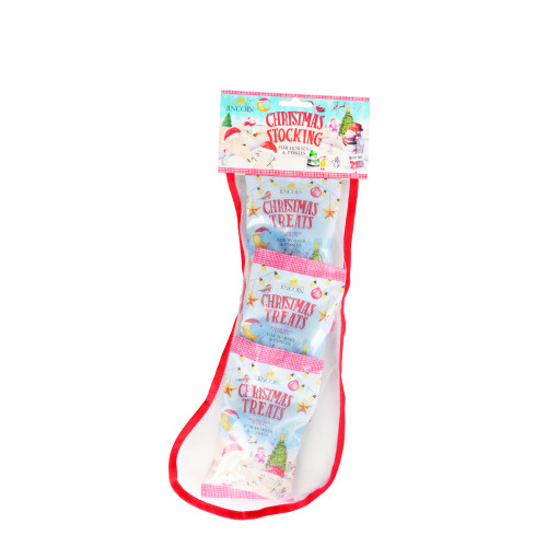 Lincoln Christmas Stocking - Treat 1