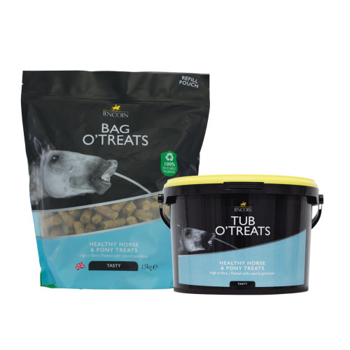 Lincoln July 2025 Offer - Bundle Deal Lincoln Bag O' Treats Refill Pouch & Bucket