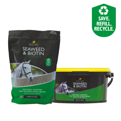 Lincoln Seaweed & Biotin - Tub & Pouch