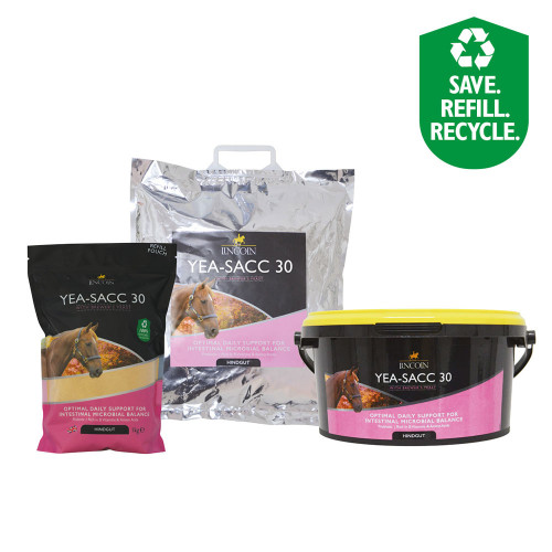 Lincoln Yea-Sacc 30 - 1kg