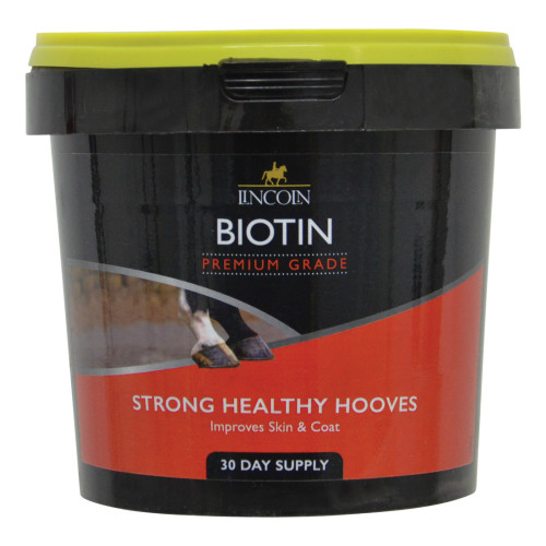 Lincoln Biotin - 600g