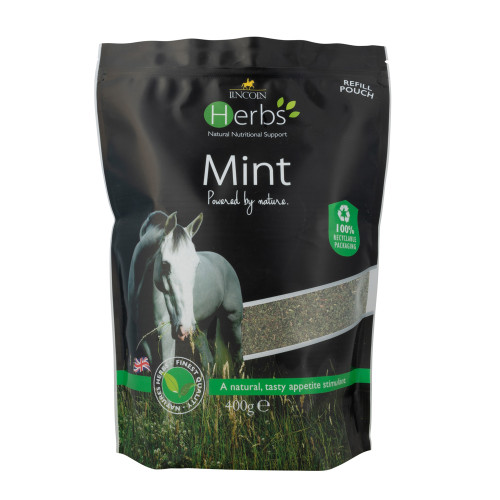 Lincoln Herbs Mint Refill Pouch - 400g