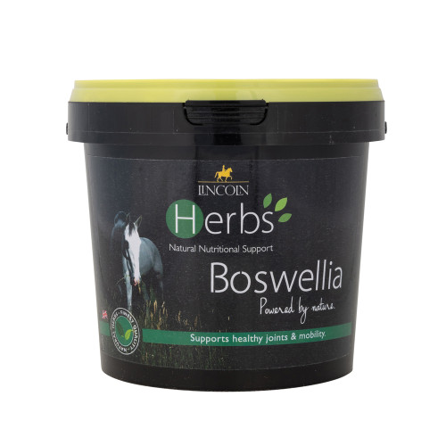 Lincoln Herbs Boswellia - 600g