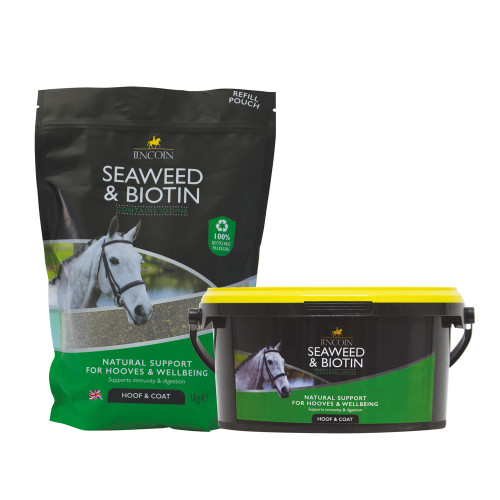 Lincoln Seaweed & Biotin - Tub & Pouch